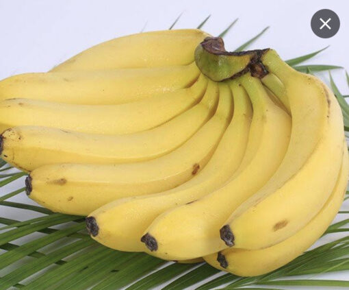 Banana