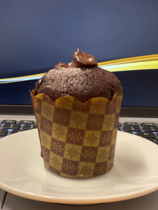 Small Homemade Muffins
